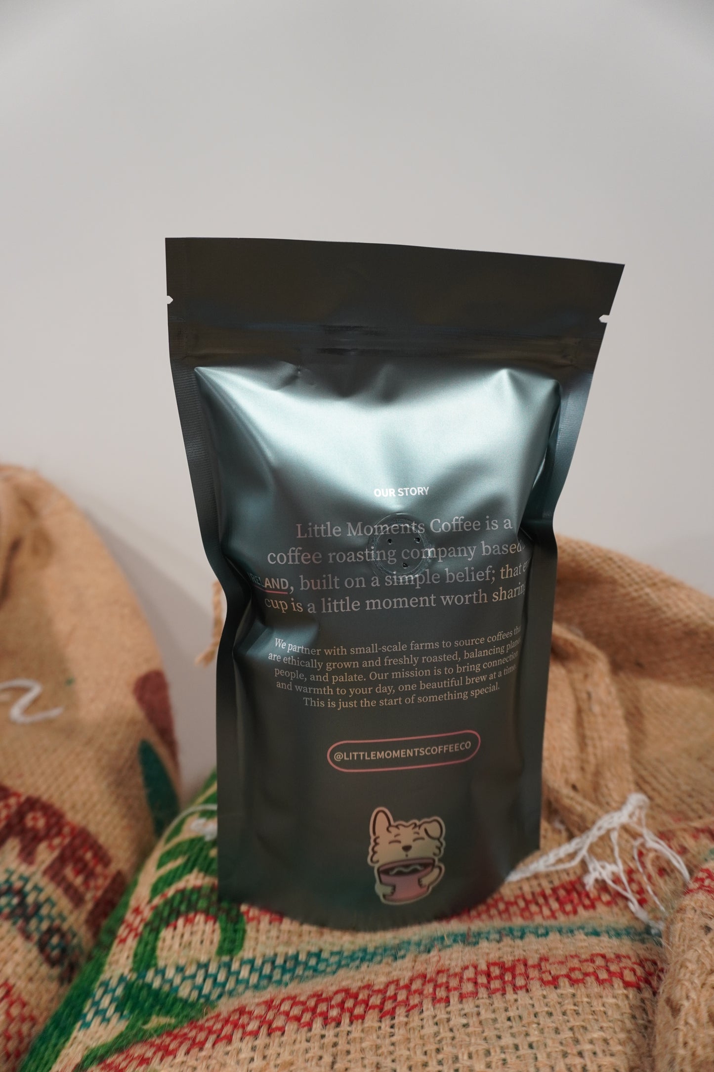 Chapter One - The Beginning