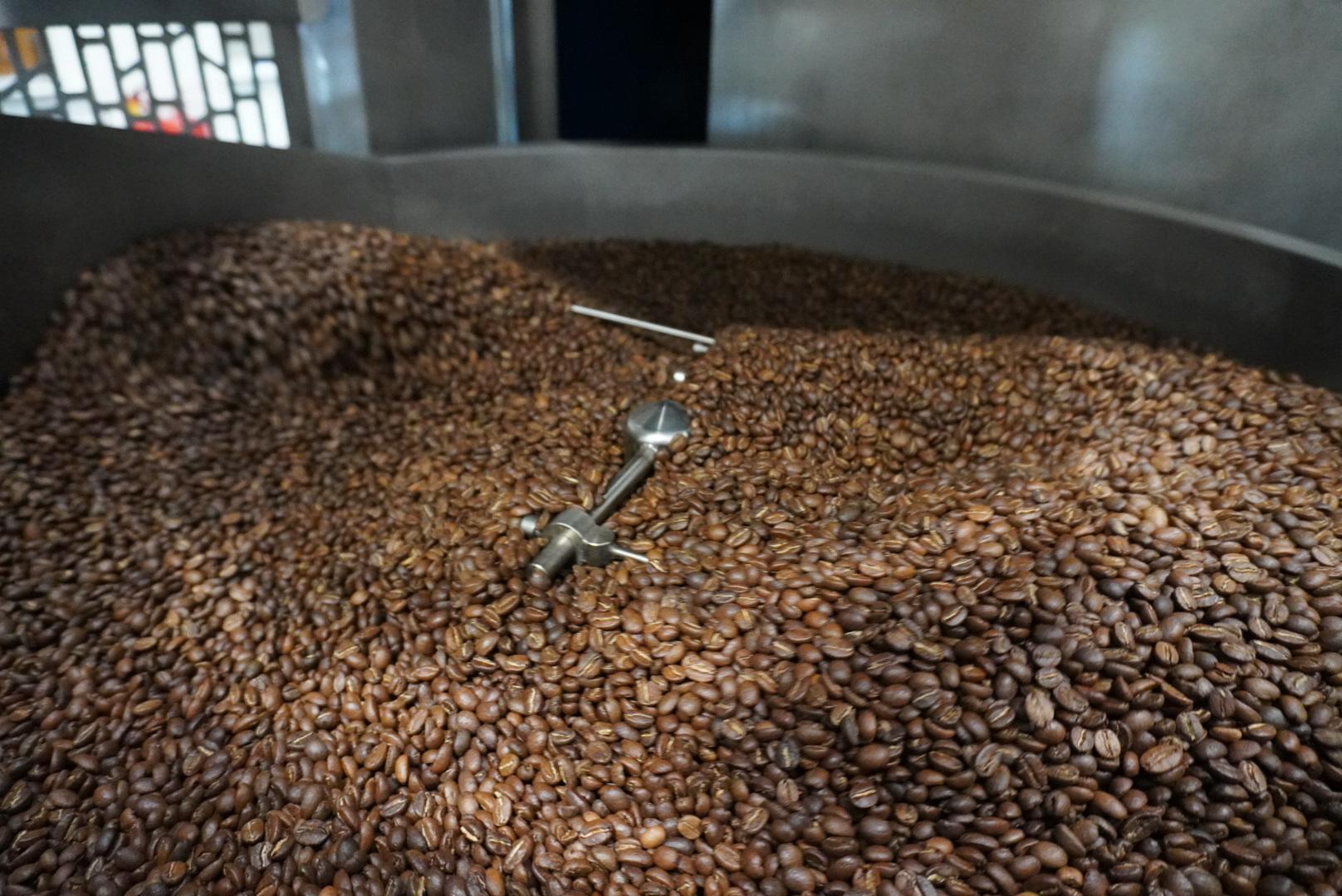 Freshly roasted coffee beans in the roaster’s cooling tray