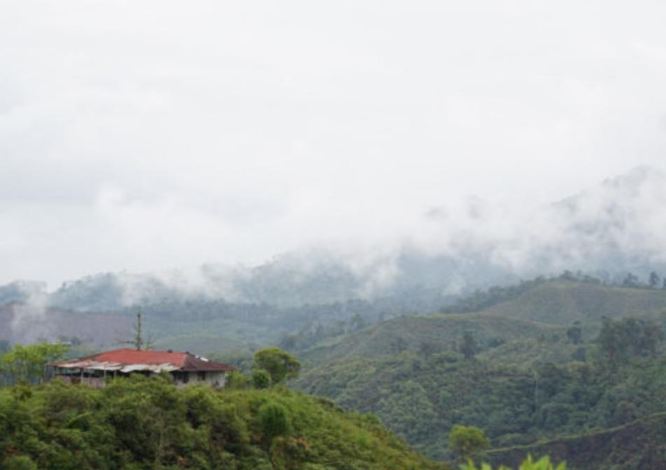 A red-roofed farmhouse among misty green hills in Colombia